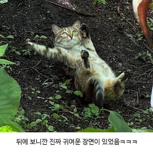 할머니가 귀엽다며 보내준 사진.jpg