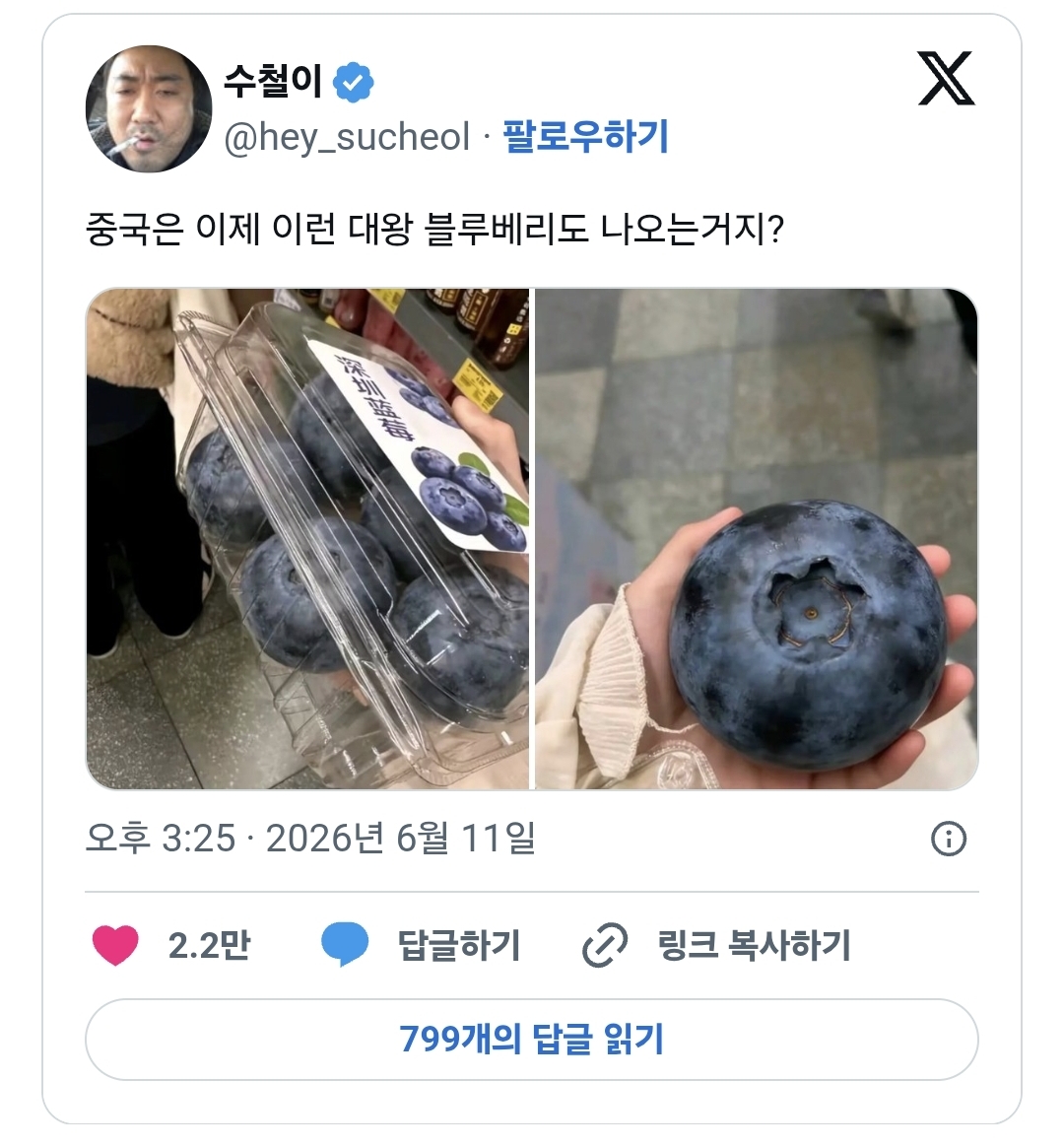 중국에서 판다는 대왕 블루베리.jpg