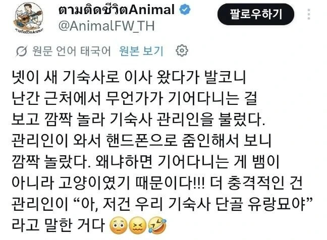 기숙사 난간을 기어다니는 것의 정체.gif