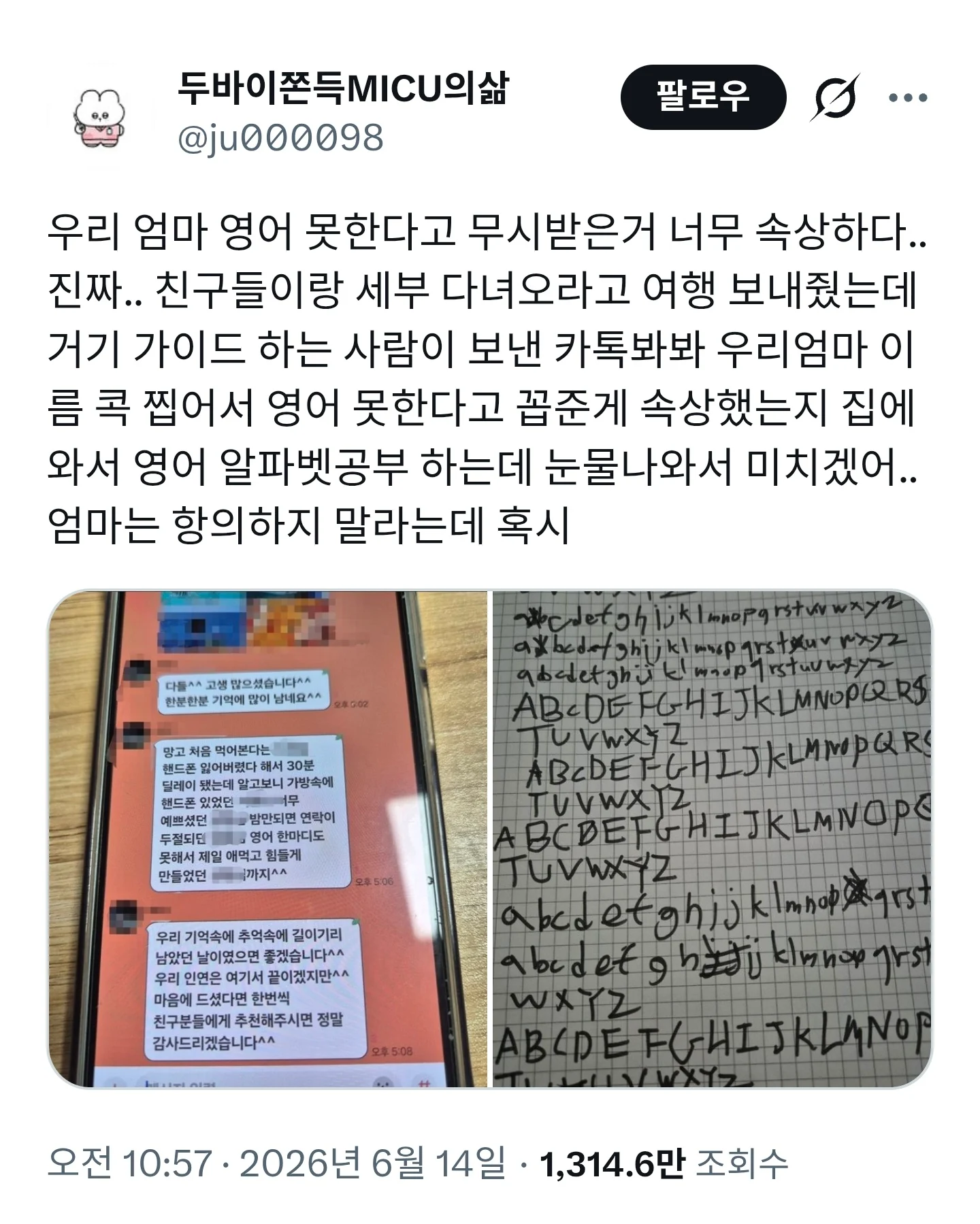 영어 못한다고 개꼽주는 관광 가이드.jpg