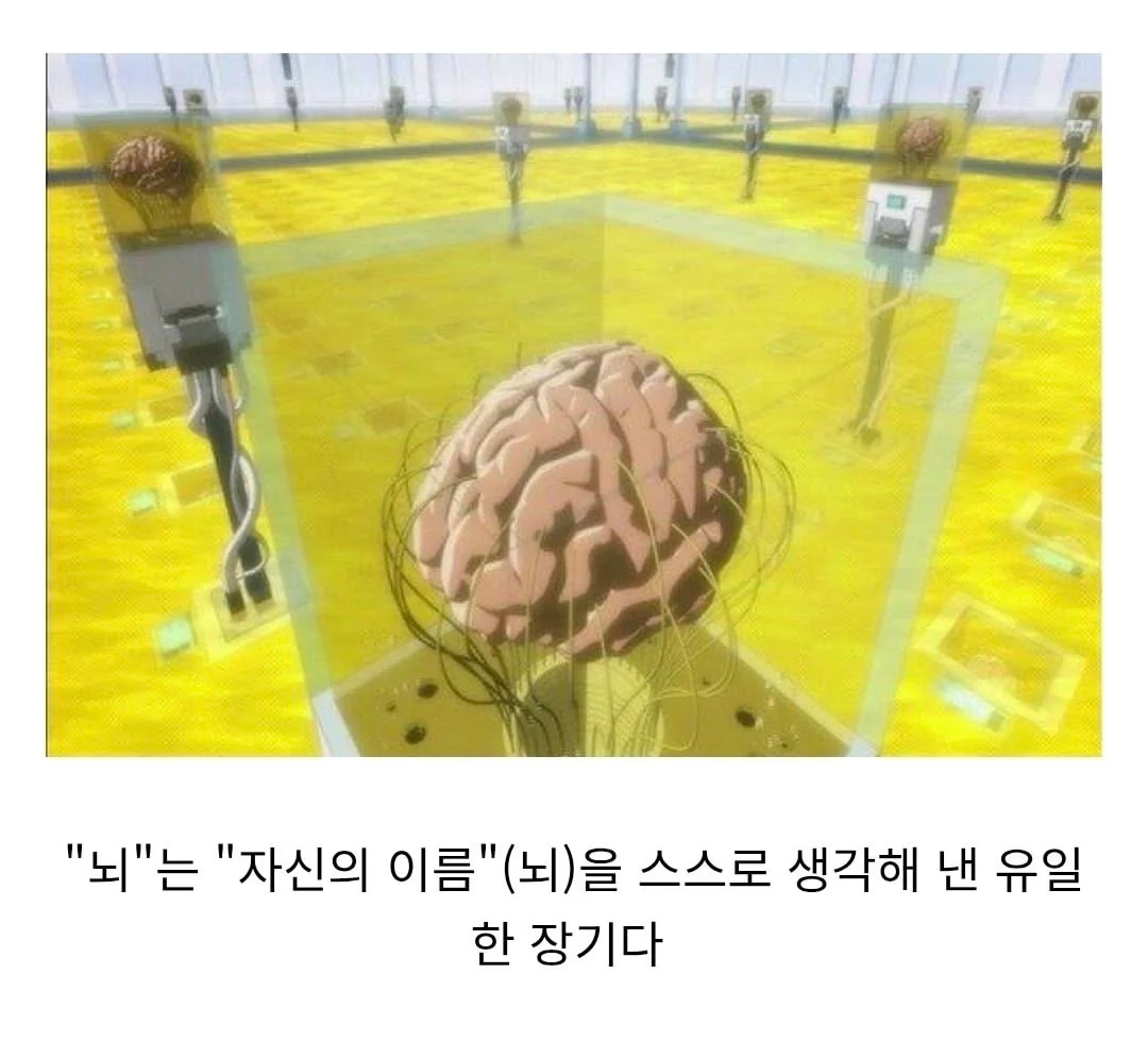 스스로 자기 이름을 지은 장기.jpg