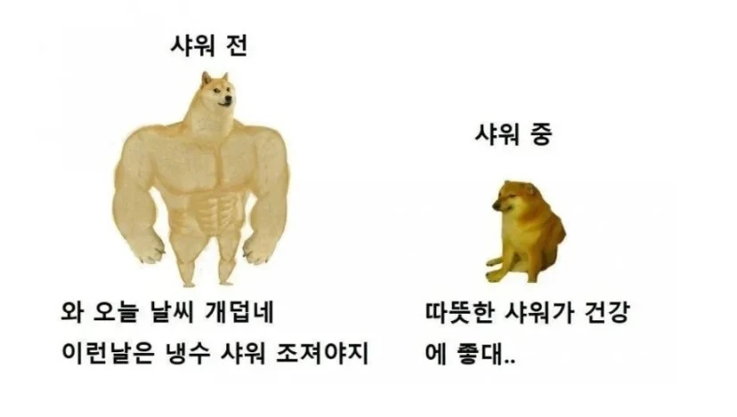 무더운 여름 샤워 할 떄 특.JPG
