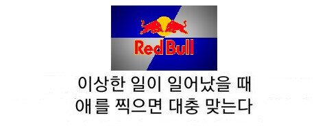 4트만에 성공한 비행중인 비행기에서 클라이밍