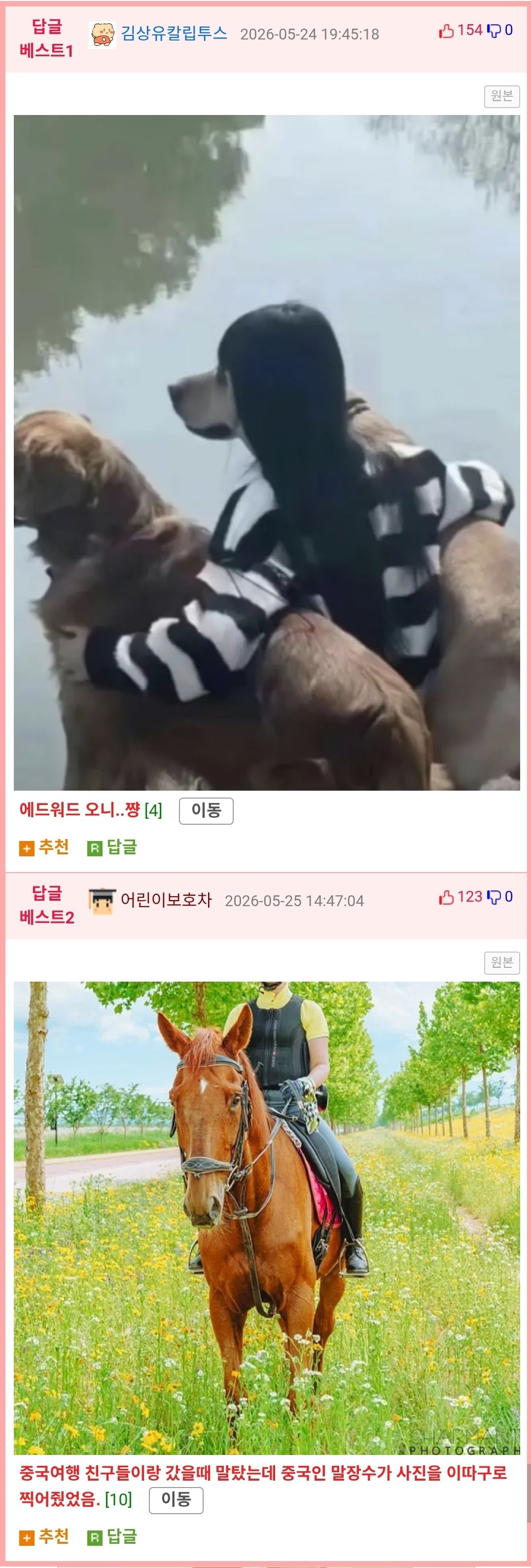 남자친구가 찍어준 망작 사진들