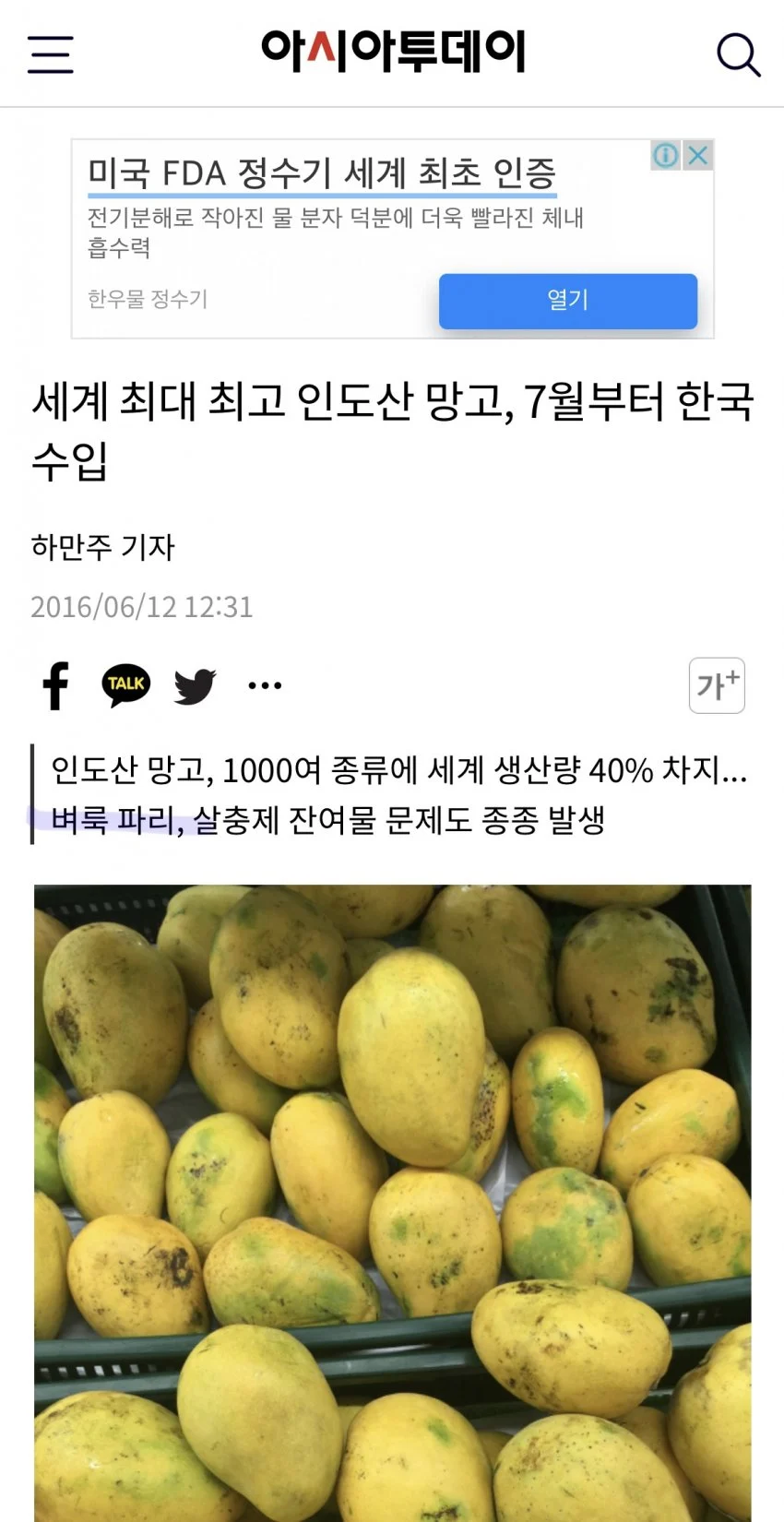 벼룩파리 씹새끼 한국에 생긴 이유