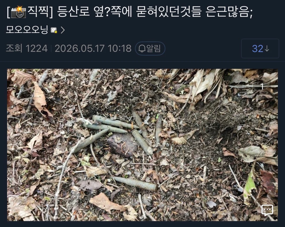 실시간 등산하다 불발탄 주운 군갤럼