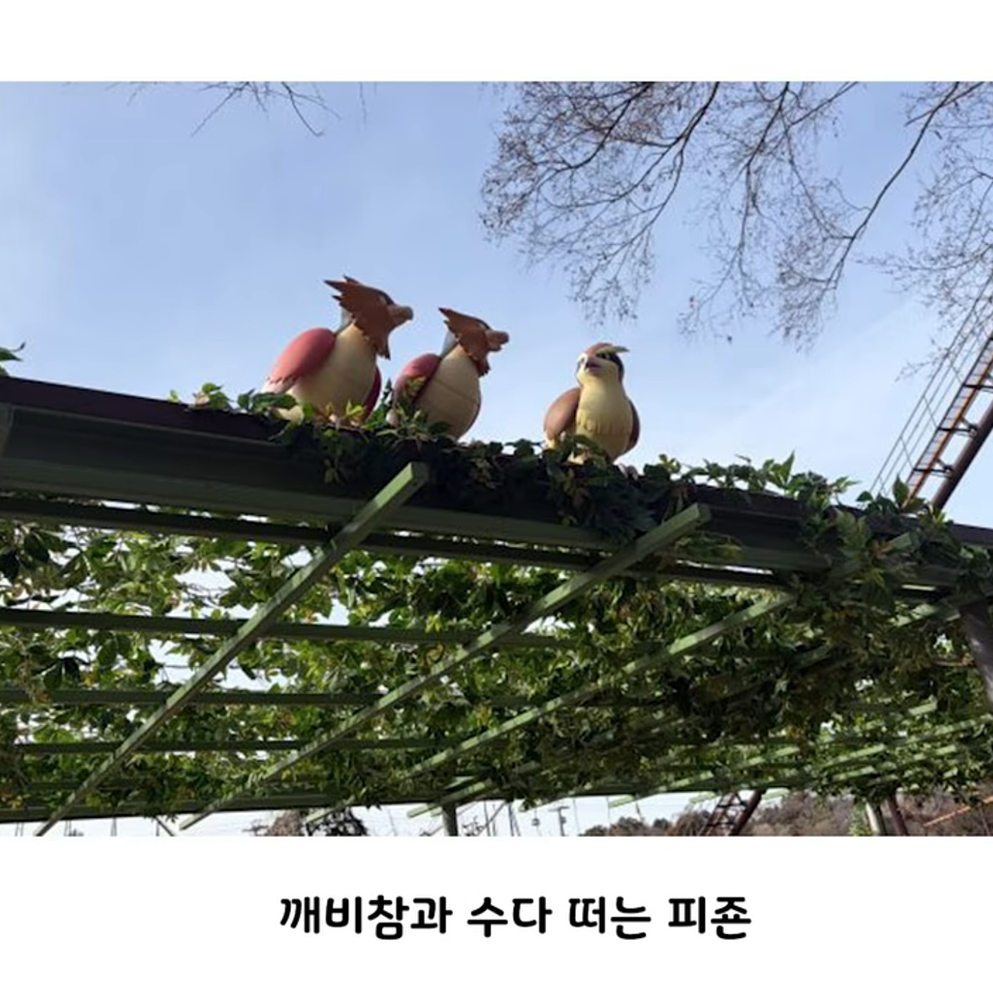 컨셉 확실한 일본 포켓몬 파크