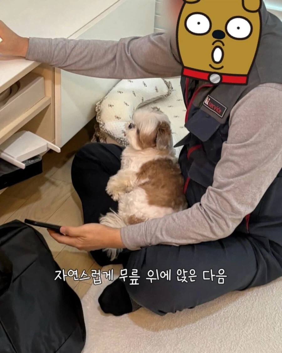 인터넷 기사님이 집에 왔을 때 강아지 반응.jpg