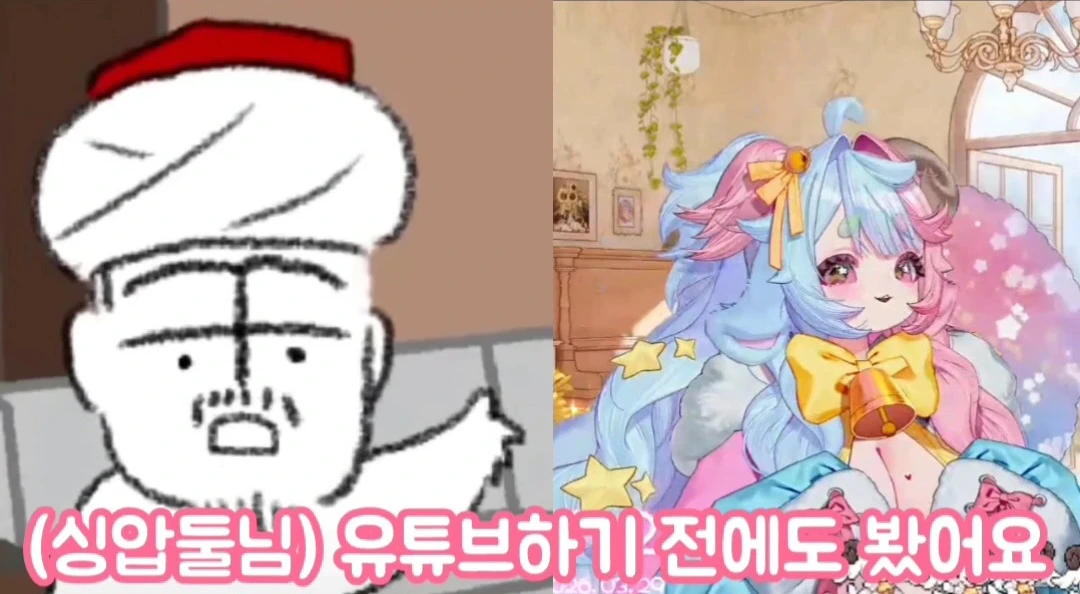 방송 중 웃대 언급했다는 여성 방송인