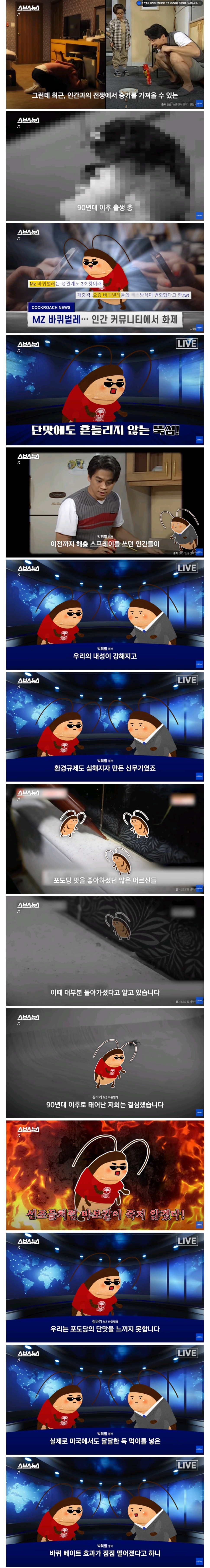 요즘 바퀴벌레가 쉽게 죽지 않는 이유