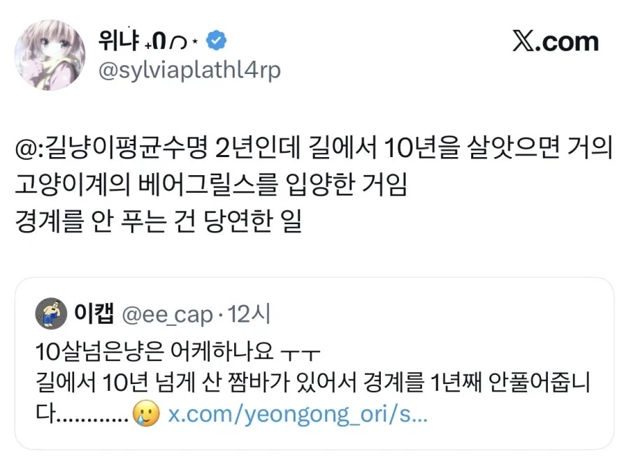 길고양이 입양했는데 경계를 안품.jpg