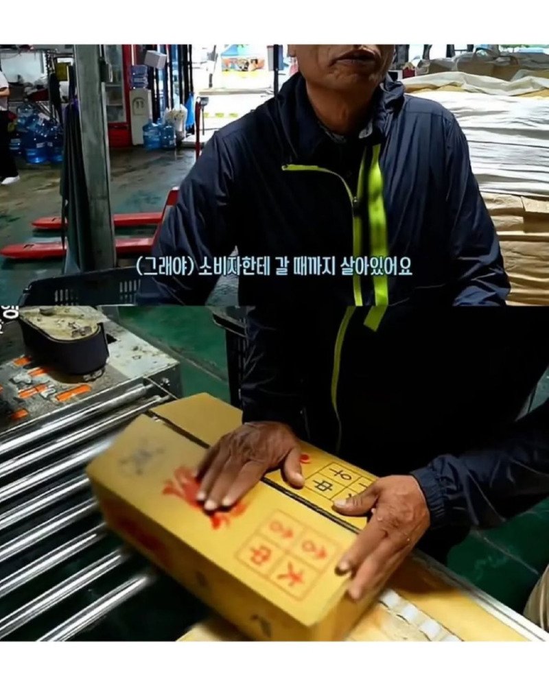 꽃게 사는 사람들의 일관적인 진술