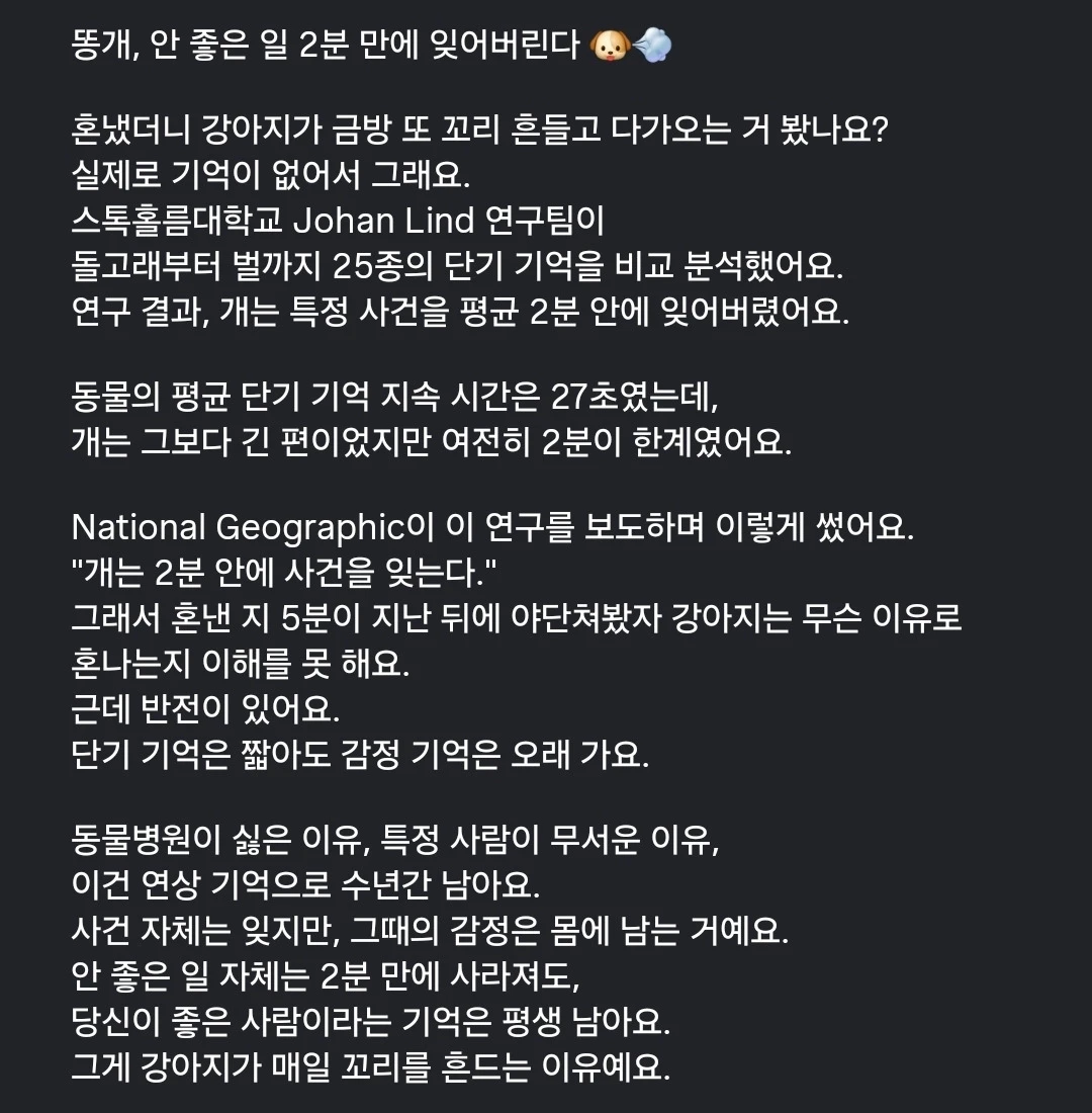 똥개, 안 좋은 일 2분만에 잊어버린다