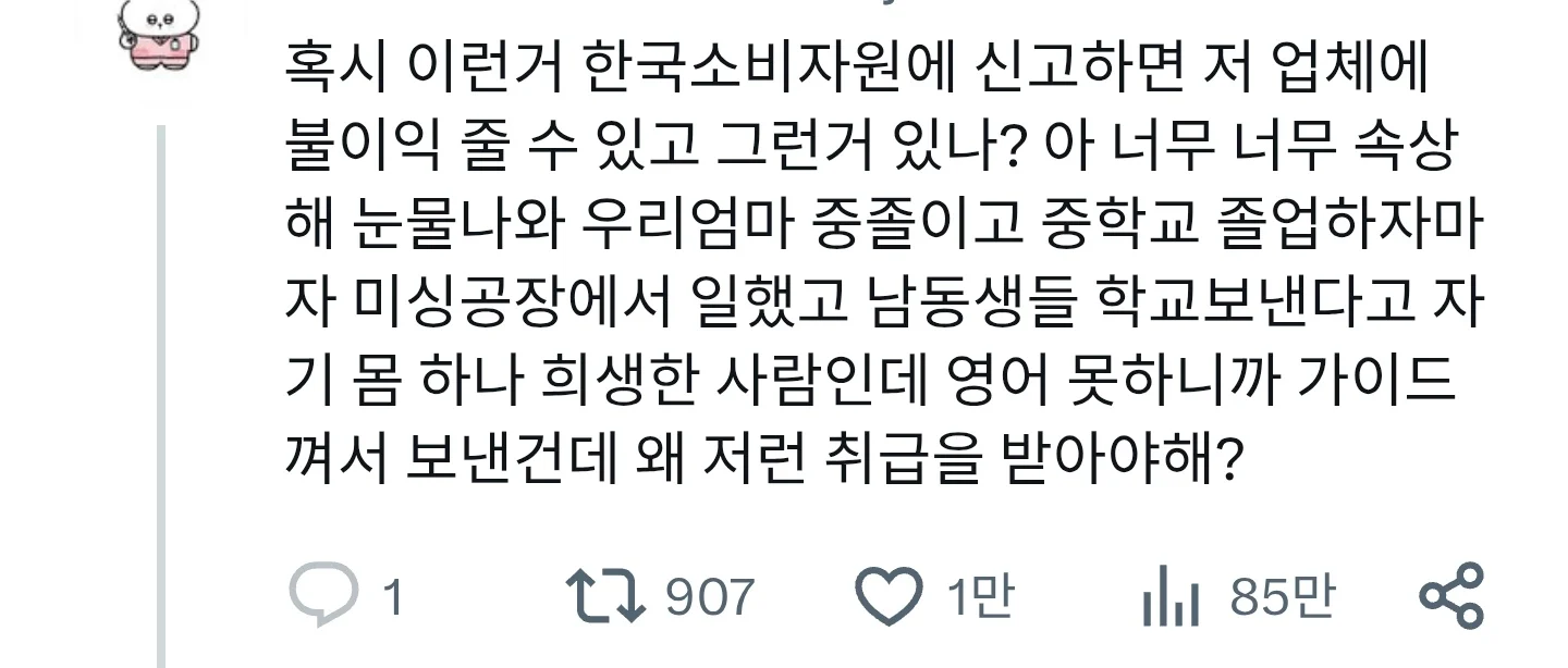영어 못한다고 개꼽주는 관광 가이드.jpg
