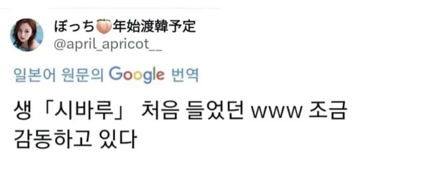 한국 택시에 감동받은 일본인