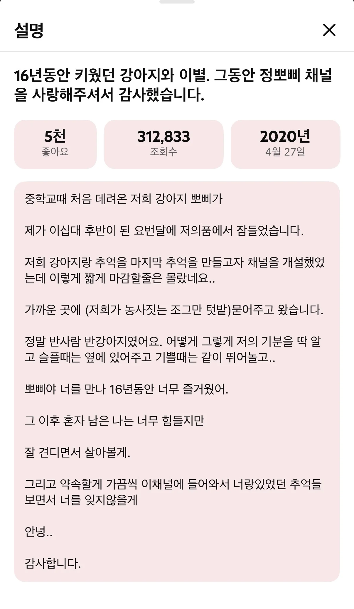 눈에넣어도안아픈우리집뽀삐…jpg